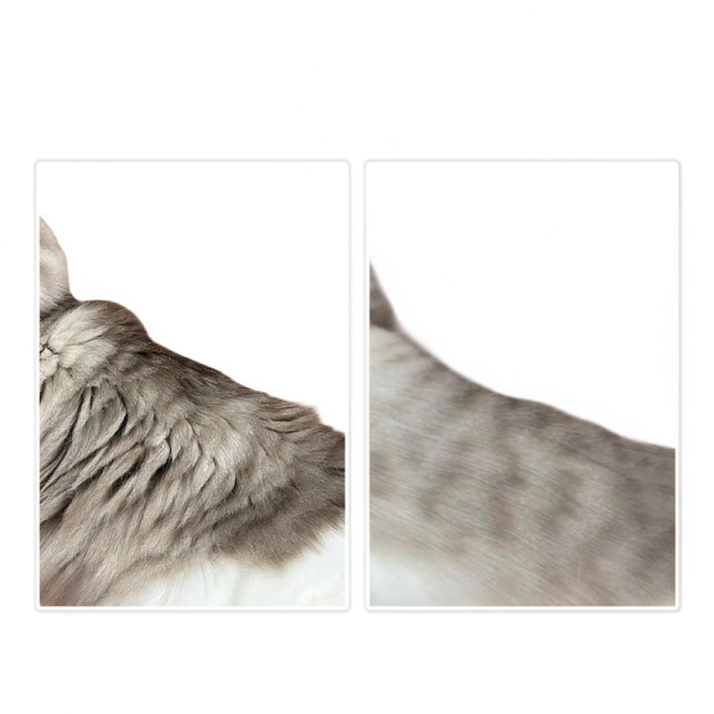Pet Hair Remover Tool Curved B - đánh giá và giá Undercoat Rake Dematting Tool Dog Shedding
