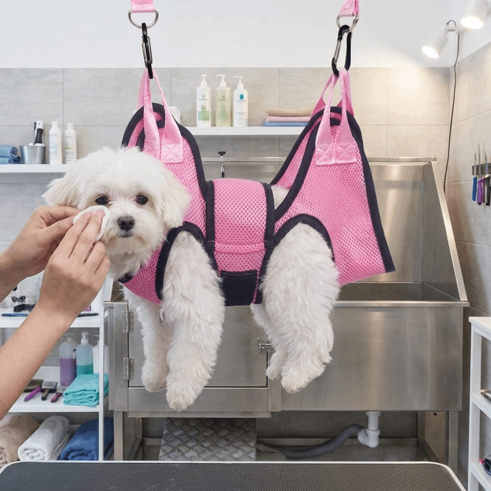 Adjustable Dog Grooming Hammoc - đánh giá và giá Pet Grooming Hammock Sling Restraint
