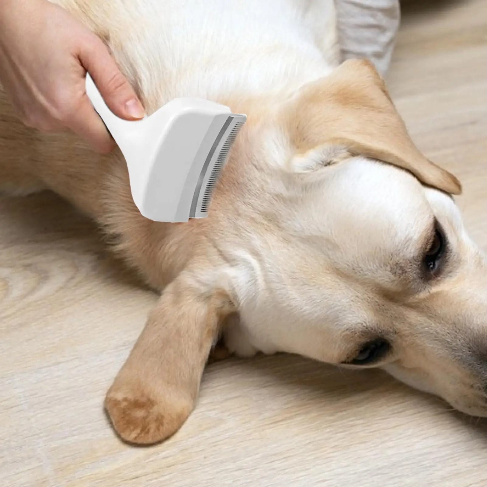 Slicker Brush For Dogs Underco - đánh giá và giá Undercoat Rake Dematting Tool Dog Shedding