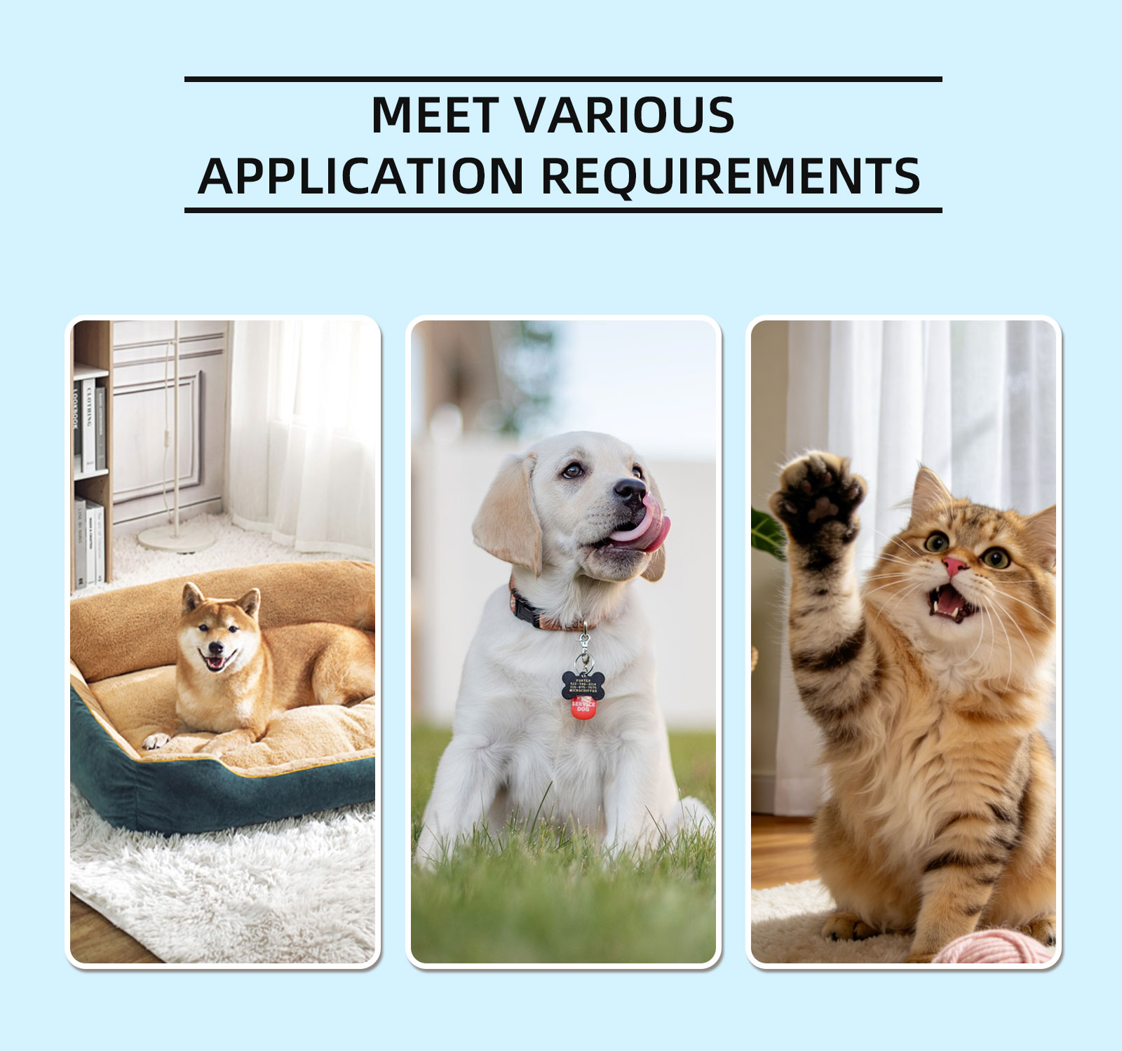 Cat Dog Ear Cleaner Solution 1 - đánh giá và giá Dog Ear Cleaner Solution Drops Wash