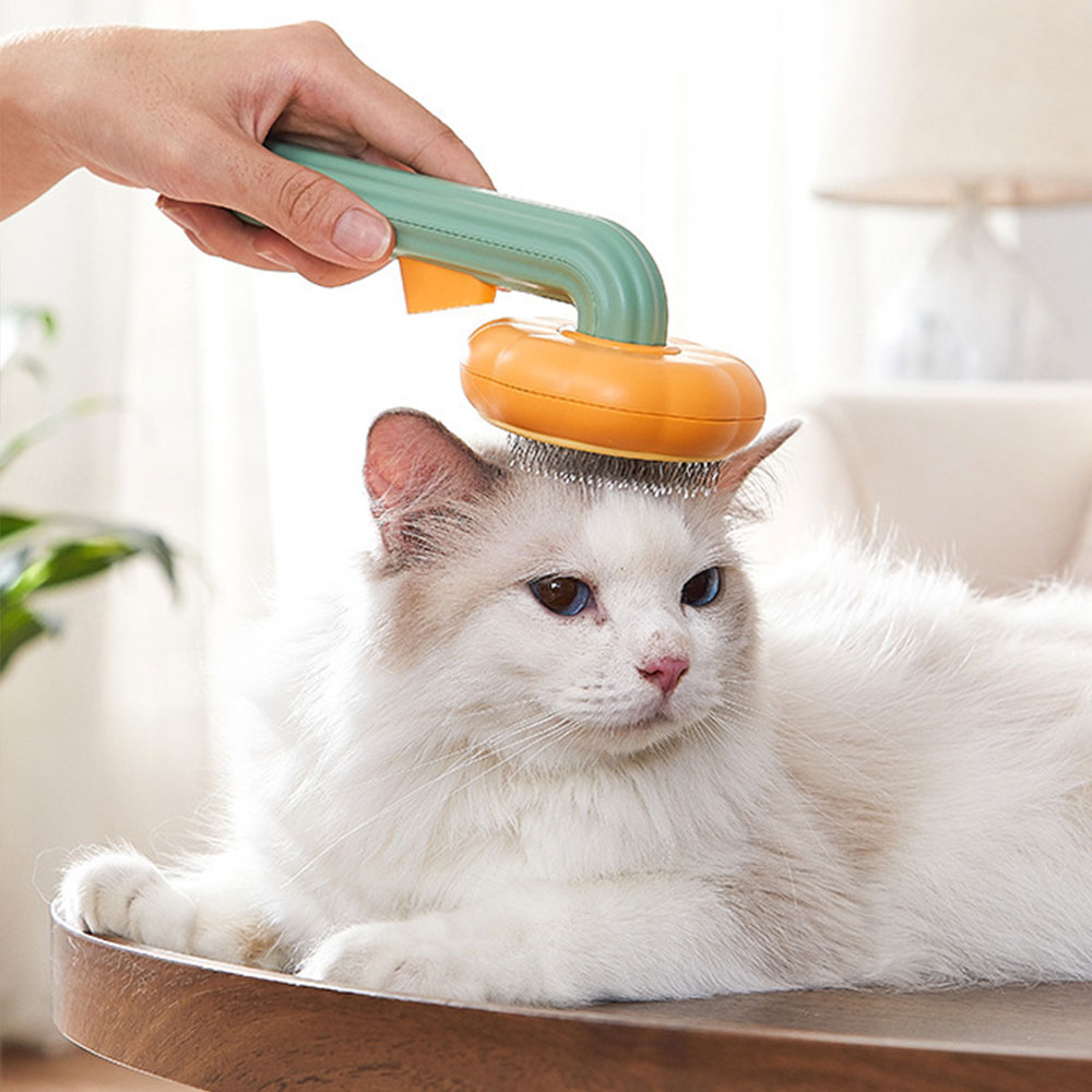 Pet Hair Removal Comb Cat Brus - đánh giá và giá Slicker Brush Self Cleaning Pet Grooming