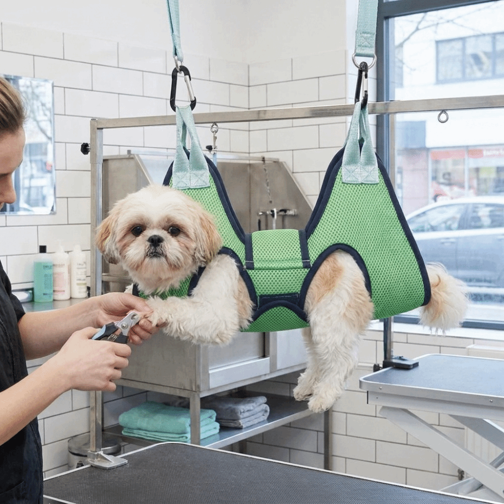 Adjustable Dog Grooming Hammoc - đánh giá và giá Pet Grooming Hammock Sling Restraint