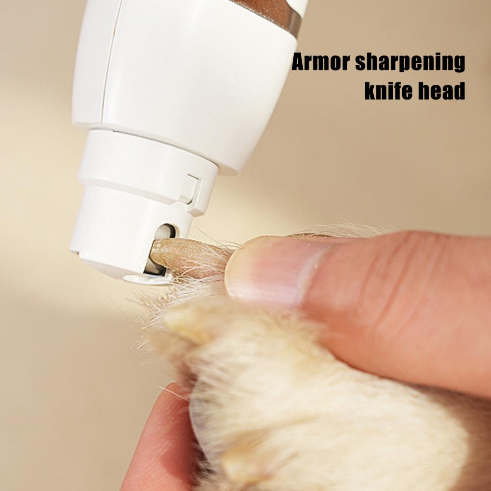 Pet Clipper Head Professional  - đánh giá và giá Cordless Dog Clippers Low Noise Grooming