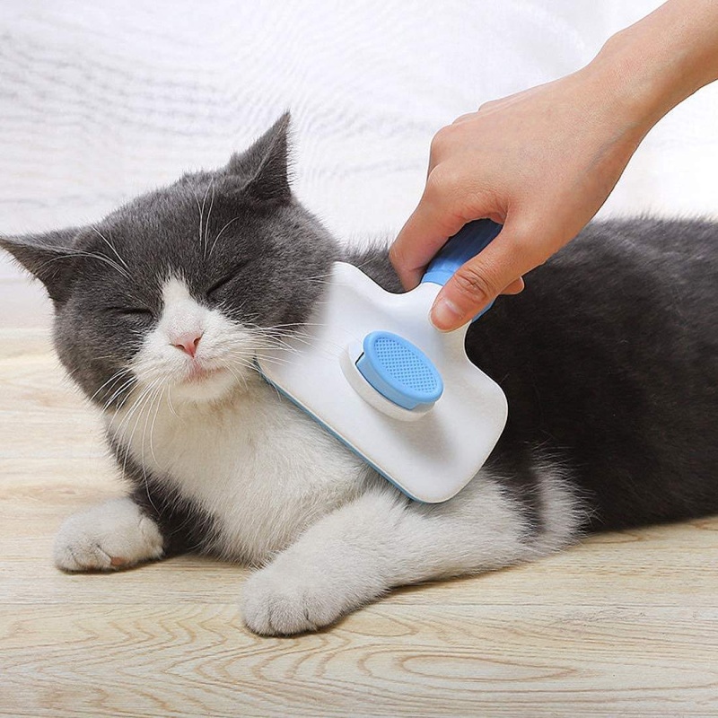 Self‑Cleaning Slicker Brush Pe - đánh giá và giá Slicker Brush Self Cleaning Pet Grooming